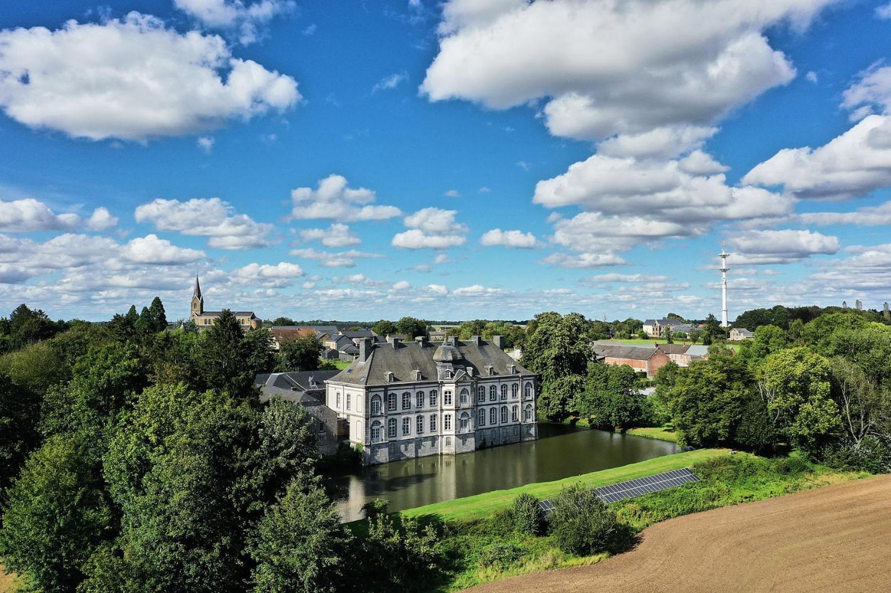 Chateau De Vierset Bagian luar foto